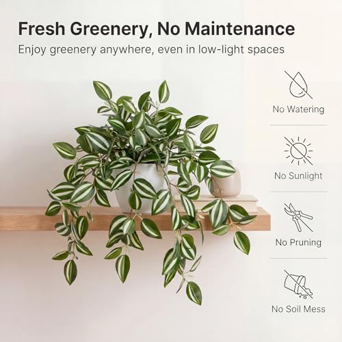 Briful Fake Plant Indoor, 17.7" Green White Faux Trailing Plant in White Plastic Pot Fake Cascading Greenery Plant for Shelf Bathroom Kitchen Office Desk Cabinet Tabletop Home Decor - Image 3