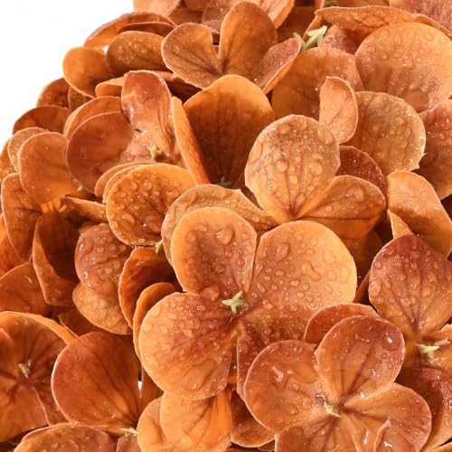Yastouay 8 Pcs Real Touch Hydrangea Artificial Flowers, Burnt Orange - Image 2
