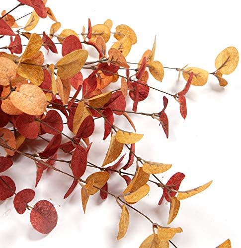6 Pcs Artificial Eucalyptus Stems Fall Decorations with Fall Eucalyptus Leaves Autumn Decorations for Office and Home Artificial Plants for Floral Arrangement - Image 3