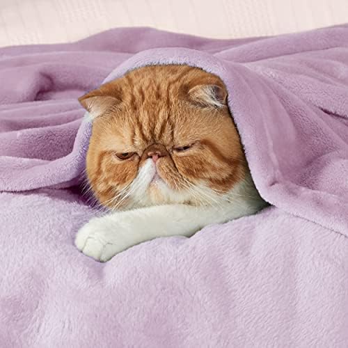 Bedsure GentleSoft Fleece Blankets Queen Size Light Purple - Bed Blanket Soft Lightweight Plush Fuzzy Cozy Luxury Microfiber, 90x90 inches - Image 2