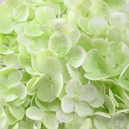 4Pcs Real Touch Hydrangea Artificial Flowers, 21" Fake Flowers, Light Green - Image 3