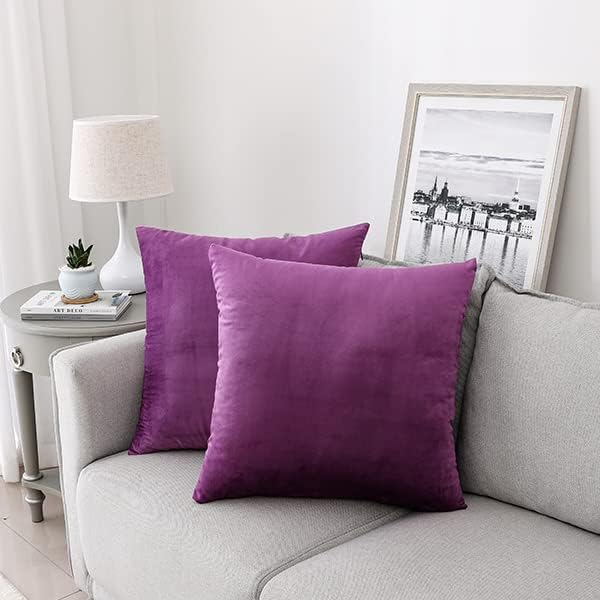 NiNi ALL Purple Velvet Throw Pillow Covers 26x26 Pack of 2 Decorative Couch by NiNiALL