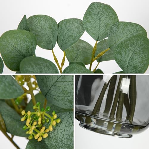 DILATATA Artificial Eucalyptus Stems in Glass Vase with Faux Water, 13" Fake Plant Eucalyptus Leaves Greenery for Table Centerpiece Office Home Decor - Black - Image 3