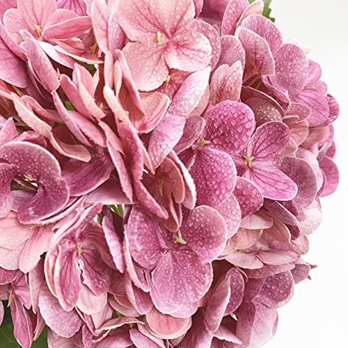 YalzoneMet 4 Pcs Real Touch Hydrangea Artificial Flower Lifelike 21'' Long Stem Latex Hydrangea Flower for Thanksgiving Home Kitchen Decor Wedding Christmas Table Centerpiece 2 Pink + 2 Rose Pink - Image 6