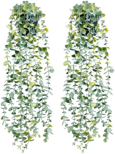 LOYWREE 2 Pack Fake Hanging Plants Artificial Eucalyptus Small Potted Long Vine Plant for Indoor and Outdoor Shelves, Walls, Rooms, Homes, Offices, and Gardens Decor (Black Pot) by LOYWREE