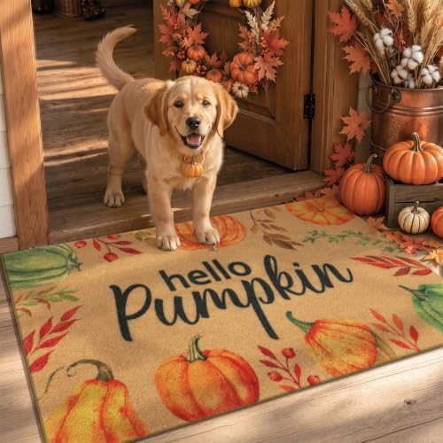Ileading Fall Door Mat 24"x36", Non Slip No Shedding Faux Coir Mat Porch by Ileading