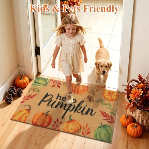 Ileading Fall Door Mat 24"x36", Non Slip No Shedding Faux Coir Mat Porch - Image 6