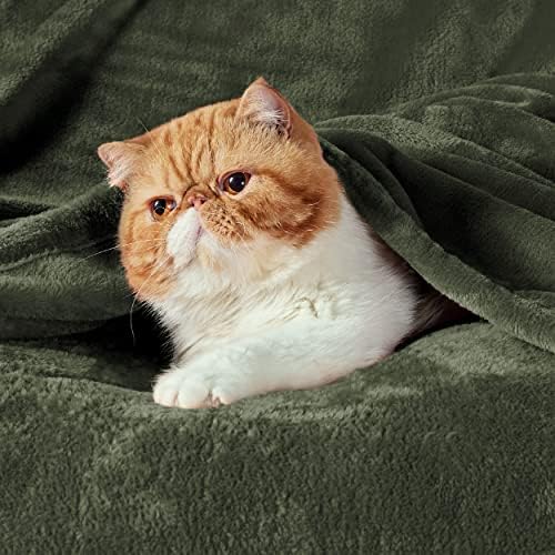 Bedsure GentleSoft Fleece Blanket Twin Size Olive Green - 300GSM Lightweight Plush Fuzzy Cozy Soft Warm Blanket for Bed, Sofa, Couch, Travel, Camping, 60x80 inches - Image 2