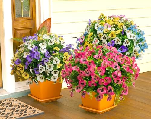 Artificial Flowers for Outdoors Fake Plants, 12pcs Fake Flowers Artificial Plants Outdoor UV Resistant,Silk Faux Flowers Shrubs Greenery Plants for Porch Garden Patio Window Box Decor - Image 3