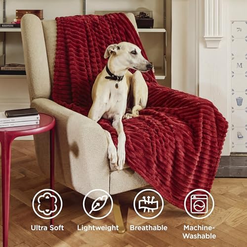 Bedsure Soft Twin XL Blanket for Bed Dorm Red 66"x90" - Image 5