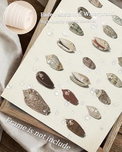 Retro Seashells Wall Art Cute Summer Art Print Vintage Larousse Illustration, Sea Life Wall Decor, Housewarming Gift, Sea Star, Shell Poster Trendy Beach House Decor, Coastal Wall Art(UNFRAMED 8x10in) - Image 3