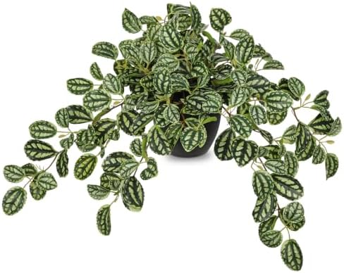 Briful Artificial Potted Plant Indoor, 19.6" Faux Watermelon Peperomia Trailing Plant in Black Pot, Realistic Fake Plants with Cascading Green Leaves for Shelf Bathroom Office Desk Kitchen Home Decor by Briful