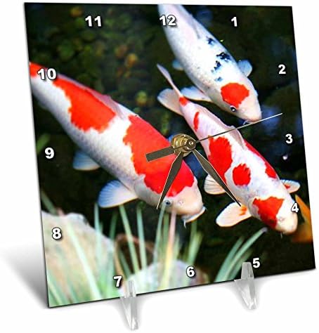 3dRose dc_62378_1 Japanese Orange N White Koi Fish Desk Clock, 6 by 6" by 3dRose
