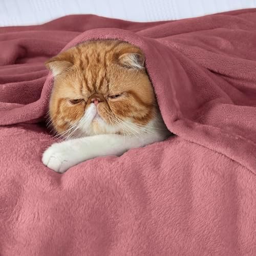 Bedsure GentleSoft Fleece Blankets Twin Size Dusty Rose - 300GSM Lightweight Plush Fuzzy Cozy Soft Blanket for Bed, Sofa, Couch, Travel, Camping, 60x80 inches - Image 3