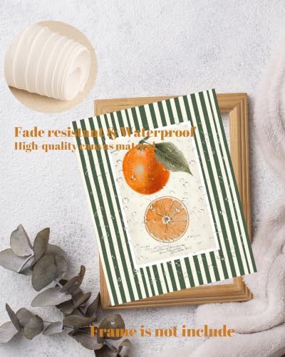 ZBJLLK Vintage Orange Botanical Illustration Canvas Wall Art, Fruit Kitchen Print, Rustic Farmhouse Green Stripe Background Citrus Fruit Artwork for Kitchen Dining Room Home Decor, 8x10 Inch Unframed - Image 3