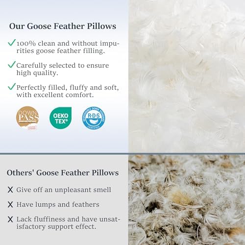 COZSINOOR Goose Down Feather Pillows Queen Size Set of 2 - Image 5