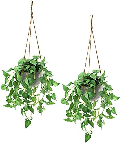 TNNTOPELE 2 Pack Hanging Plant Fake Plants with Pots for Indoor Outdoor by TNNTOPELE