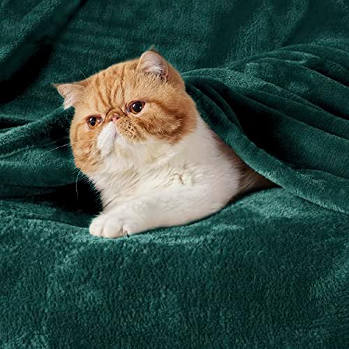 Bedsure GentleSoft Fleece Throw Blanket Forest Green - 300GSM Blankets for Couch, Sofa, Bed, Soft Lightweight Plush Cozy Throws for Toddlers, 50x60 inches - Image 2