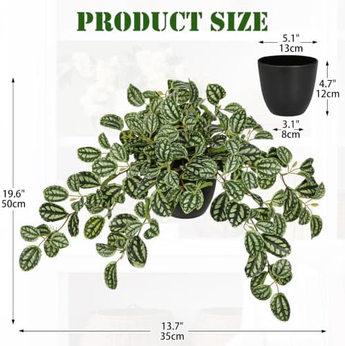 Briful Artificial Potted Plant Indoor, 19.6" Faux Watermelon Peperomia Trailing Plant in Black Pot, Realistic Fake Plants with Cascading Green Leaves for Shelf Bathroom Office Desk Kitchen Home Decor - Image 2