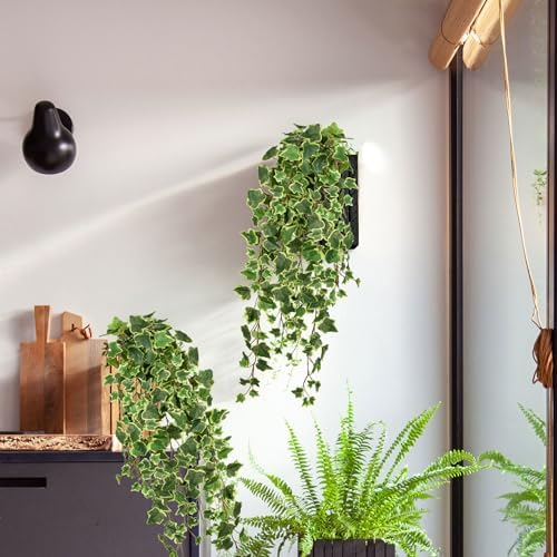 Hollyone 2pcs Artificial Hanging Plants 35.4" Fake Ivy Vine Faux Ivy Leaves Fire and UV Resistant Hanging Plant Wall Greenery for House Room Patio Indoor Outdoor Home Shelf Office Wedding Decor - Image 4
