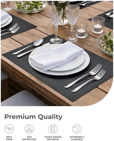 Leetaltree Black Frame Placemats Set of 4 - Heat Resistant Non-Slip Place mats for Dining Table, Washable Durable PVC Vinyl Woven Table Mats（Black Frame, 4） - Image 6