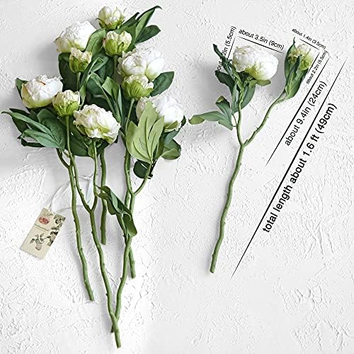 FiveSeasonStuff Vintage White Peonies – Realistic Artificial Silk Flowers with Dry-Look Petals, 6 Stems for Rustic Home & Wedding Bridesmaids Bouquet Bridal Showers - Image 5