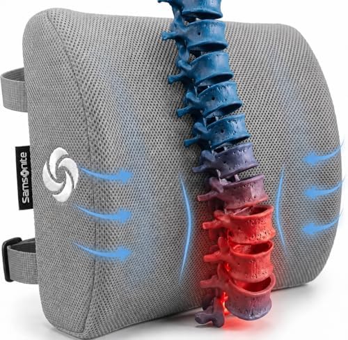 Samsonite Memory Foam Lumbar Support Pillow for Office Chair, Gaming Chair & Car Seat Automotive Use, Ergonomic Back Cushion, Work from Home Essentials, Office Essentials for Sitting Comfort, Grey by Unknown
