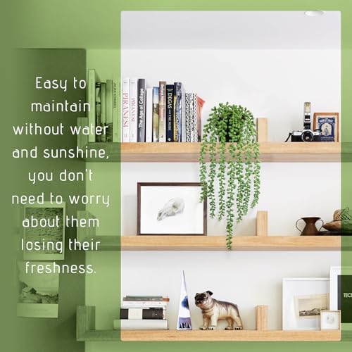 Realistic Artificial String of Pearls Plant - Faux Hanging Succulent Trailing Plant with Black Pot, Natural-Looking Small Potted Faux Plant Indoor Outdoor for Home Office Shelf Decor - Image 5