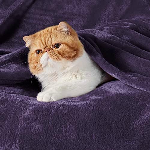 Bedsure Fleece Blanket Twin Blanket Purple - 300GSM Soft Lightweight Plush Cozy Twin XL Blankets for Bed, Sofa, Couch, Travel, Camping, 66 inch X 90 inch - Image 2