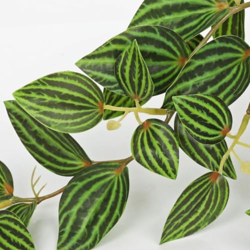 Briful Artificial Potted Plant Indoor, 19.6" Faux Watermelon Peperomia Trailing Plant in Black Pot, Realistic Fake Plants with Cascading Green Leaves for Shelf Bathroom Office Desk Kitchen Home Decor - Image 3