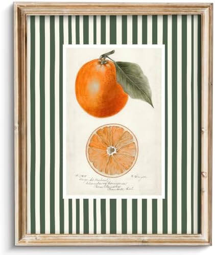 ZBJLLK Vintage Orange Botanical Illustration Canvas Wall Art, Fruit Kitchen Print, Rustic Farmhouse Green Stripe Background Citrus Fruit Artwork for Kitchen Dining Room Home Decor, 8x10 Inch Unframed by Unknown
