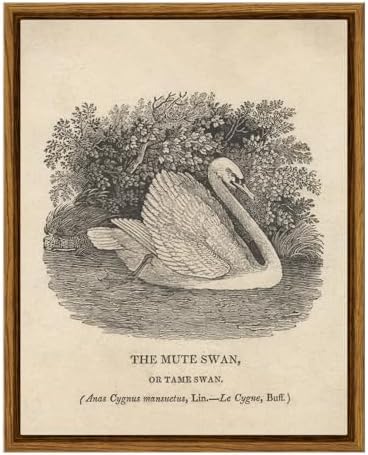 VIYYIEA Framed Wall Art Decor for Living Room, Grace Swan Decor, 8×10In by VIYYIEAART