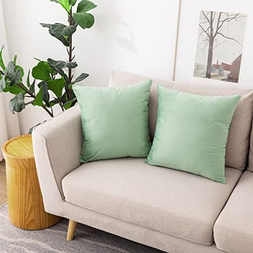 NiNi ALL SageGreen Velvet Throw Pillow Covers 28x28 Pack of 2 Decorative by NiNiALL