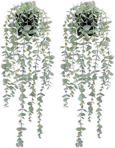 COCOBOO 2 Pcs Artificial Eucalyptus Plants Shelf Hanging Fake Plant in Pot for Wall Bedroom Home Patio Indoor Outdoor Decor by COCOBOO