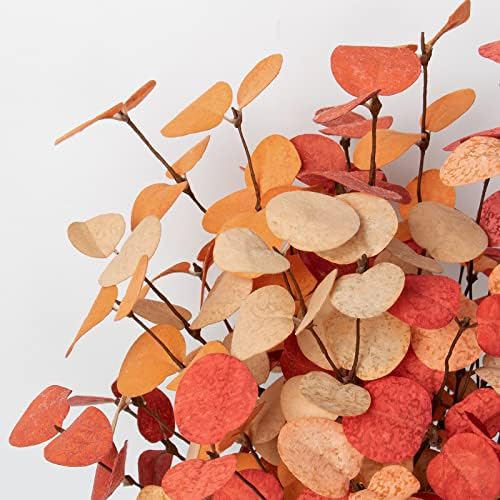 Beferr Fall Eucalyptus Stems Decor, 5Pcs 24" Faux Eucalyptus Branches Artificial Autumn Plants Decorations Fall Floral Arrangements Farmhouse Home Table Centerpiece - Image 3