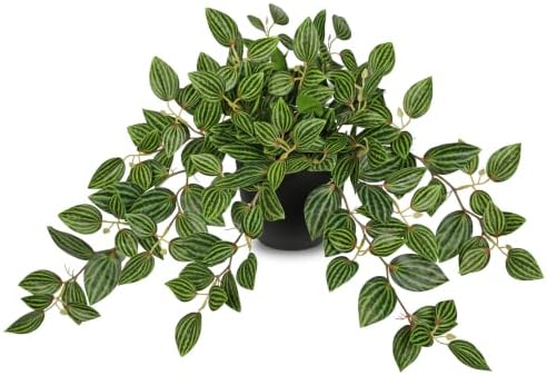 Briful Artificial Potted Plant Indoor, 19.6" Faux Watermelon Peperomia Trailing Plant in Black Pot, Realistic Fake Plants with Cascading Green Leaves for Shelf Bathroom Office Desk Kitchen Home Decor by Briful