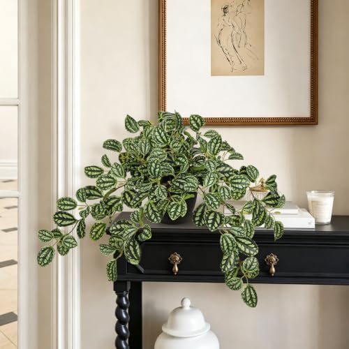 Briful Artificial Potted Plant Indoor, 19.6" Faux Watermelon Peperomia Trailing Plant in Black Pot, Realistic Fake Plants with Cascading Green Leaves for Shelf Bathroom Office Desk Kitchen Home Decor - Image 4