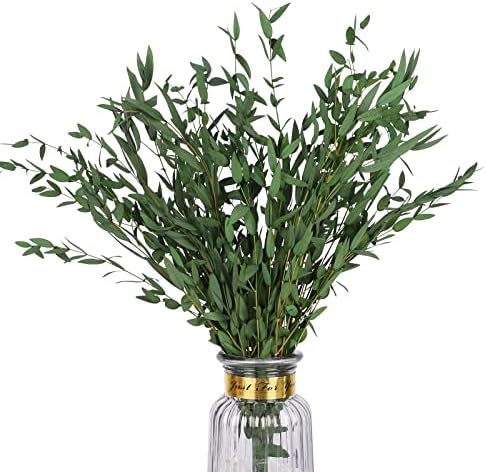 Real Eucalyptus Stems Greenery Decor 20PCS 17" Dried Willow Eucalyptus Plant Preserved Greenery Stems for Home Vase Filler Wedding Flowers Arrangement Spring Decorations by HIAGROW