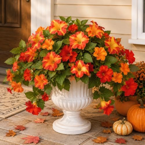 2Pcs Artificial Fall Fake Petunias Flowers Plants for Outdoor Decoration by Unknown