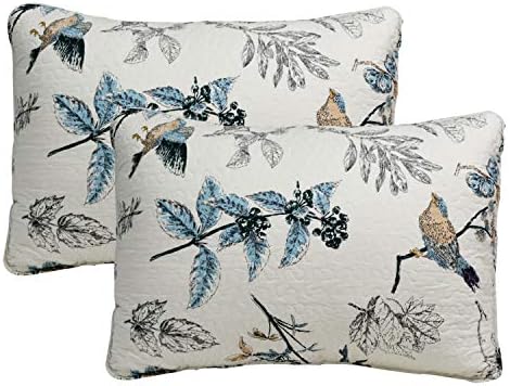 Brandream 100% Cotton Quilted Pillow Shams 2-Piece Standard Size American Country Birds Printing Pillow Shams Bedroom Decor, Beige by Brandream