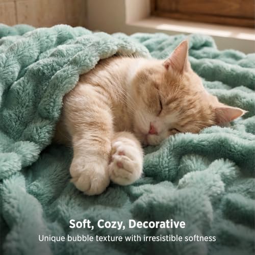 Bedsure Cloud Bubble Full Size Blanket for Bed, Sage Green, 84"×90" - Image 3