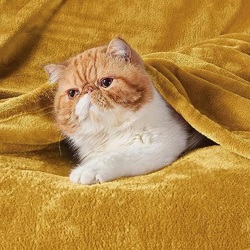 Bedsure GentleSoft Yellow Gold Fleece Throw Blanket - 300GSM Blankets for Couch, Sofa, Bed, Soft Lightweight Plush Cozy Throws for Toddlers, 50x60 inches - Image 5