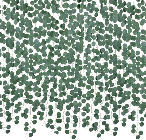 DearHouse 86 Feet 12 Strands Artificial Eucalyptus Leaf Plants Vine Hanging Eucalyptus Garland for Home Kitchen Office Wedding Wall Decor by DearHouse